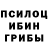Галлюциногенные грибы Magic Shrooms EndgLai Hokage