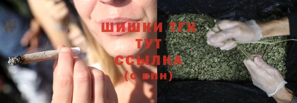 стаф Бугульма